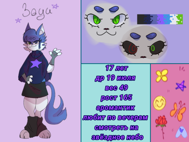 анкета зоуи