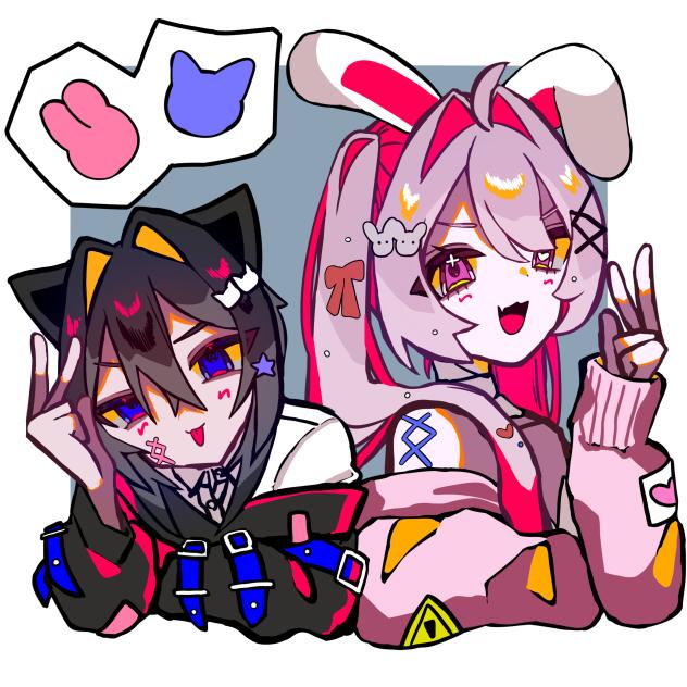 猫兎