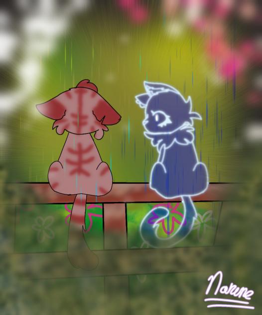 two birds on a wire-