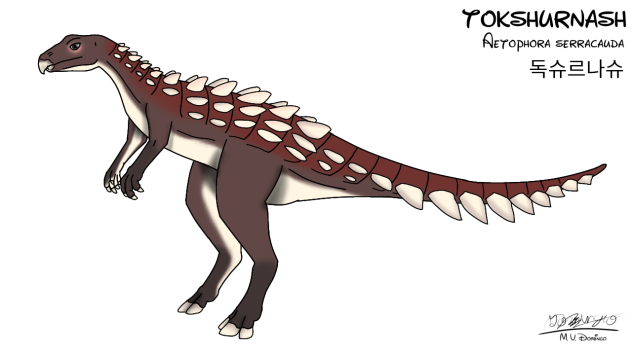 Tokshurnash