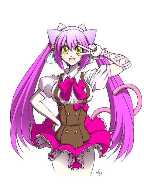 猫入 ニャターシャちゃん