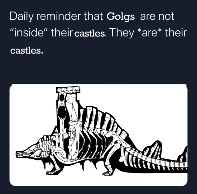 Meme