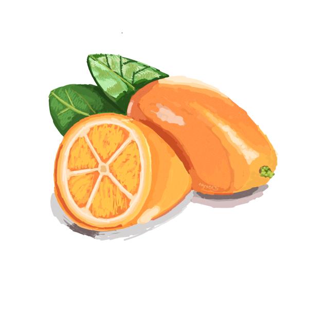 Kumquat