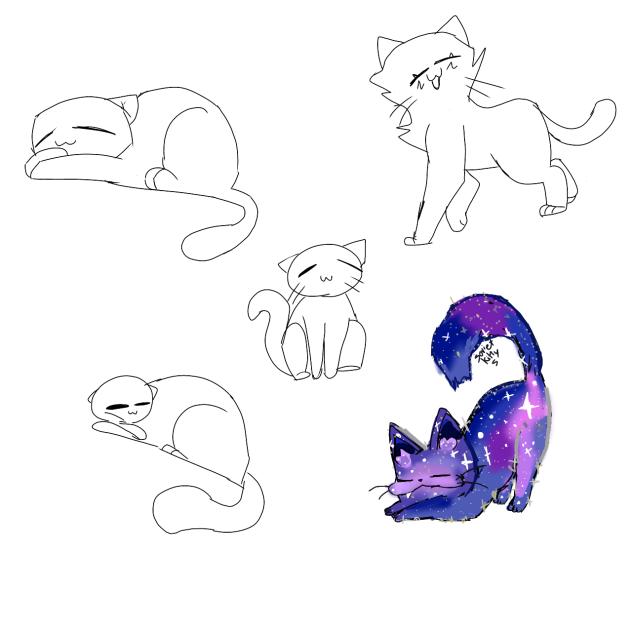 A cat collab!!!!