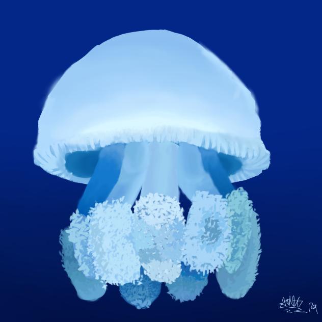 JellyFish 2
