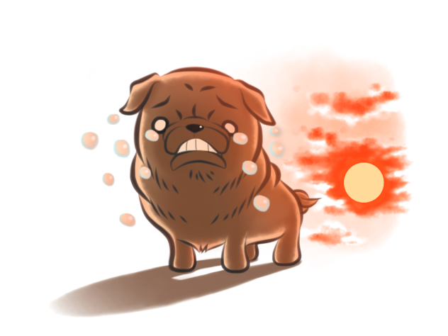 黒パグ「まだ遊びたい」