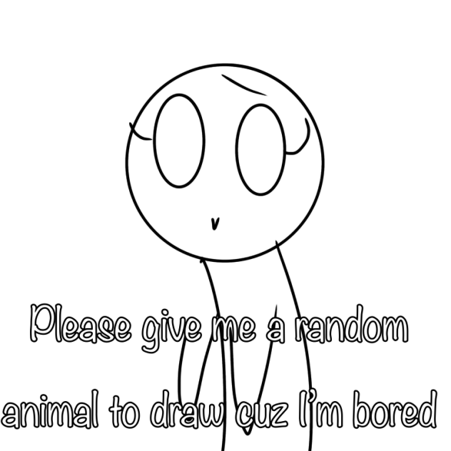 Please give me a random animal to draw