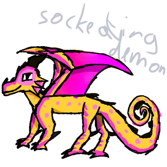 Kinkajou