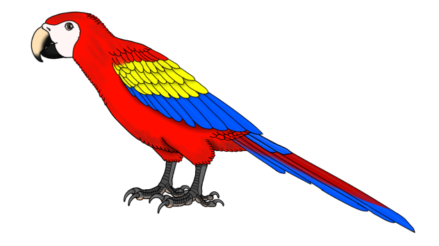 Central American Scarlet Macaw render