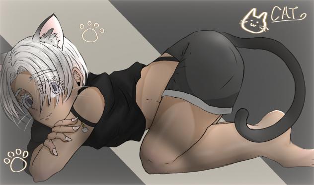 猫