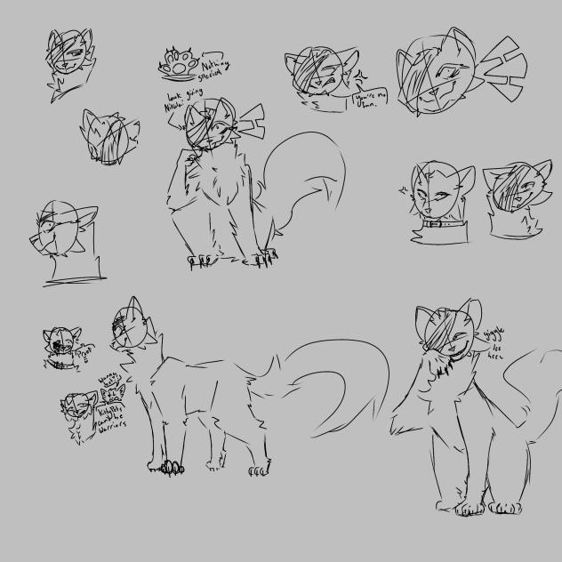 New character!