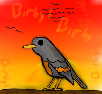 Bird.