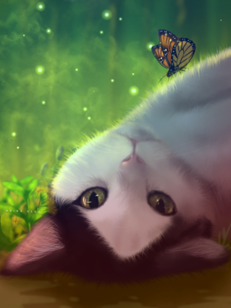 🦋