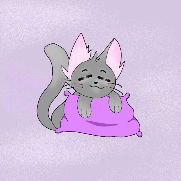 Kitty and pillow