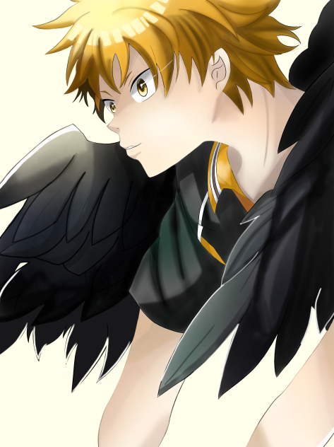 ハイキュー   日向 翔陽