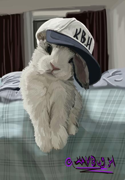 Bunny Bunny