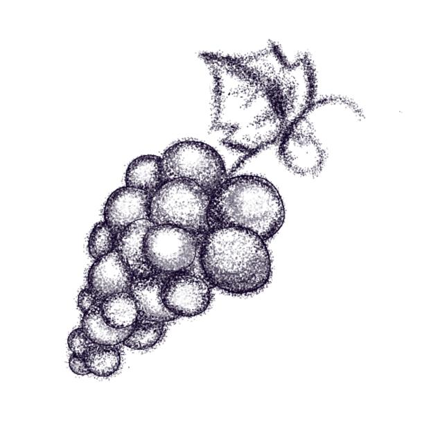 grape - ibisPaint