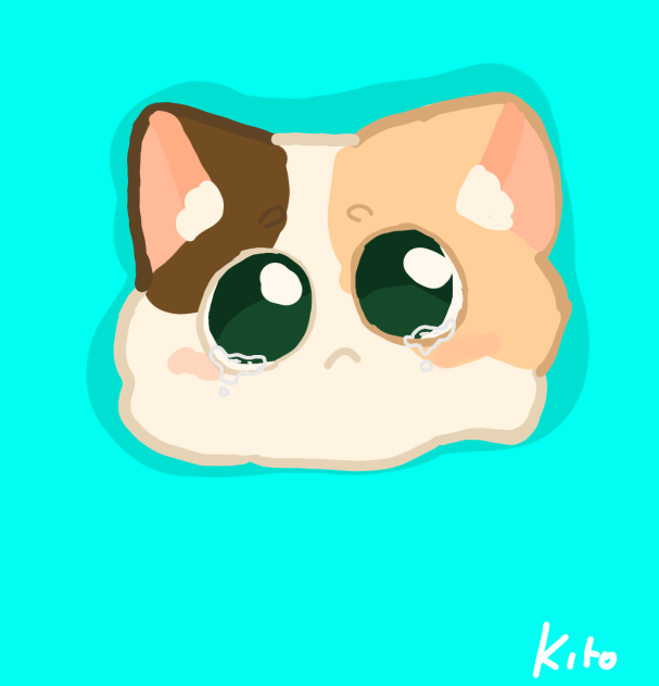 cute sad kitten 🥺