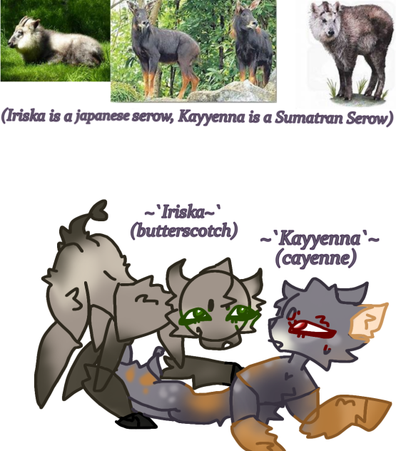 ~`Iriska~` & ~`Kayyenna`~