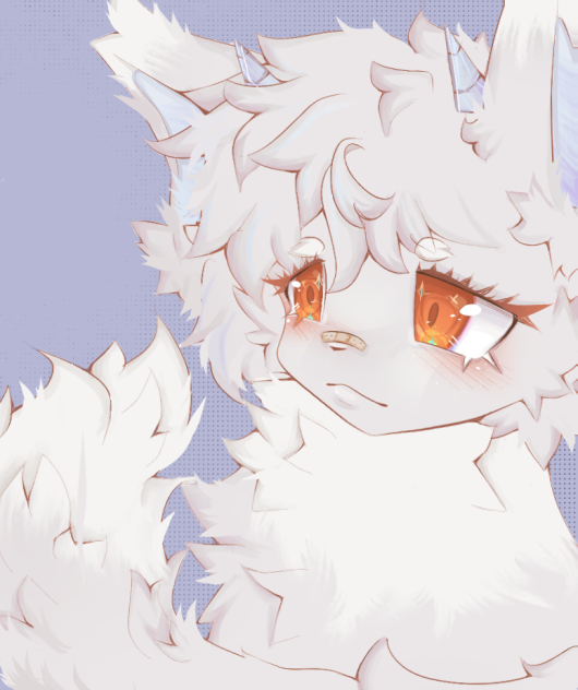 🐱