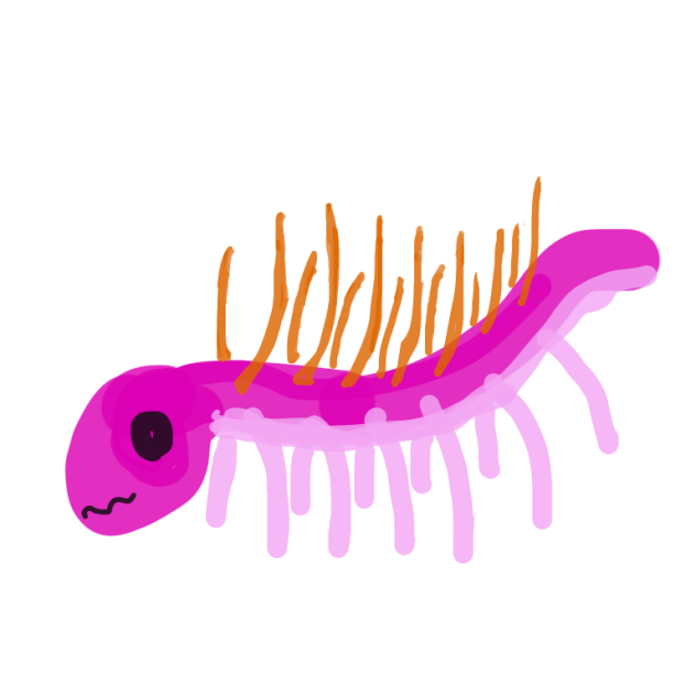 ハルケギニア