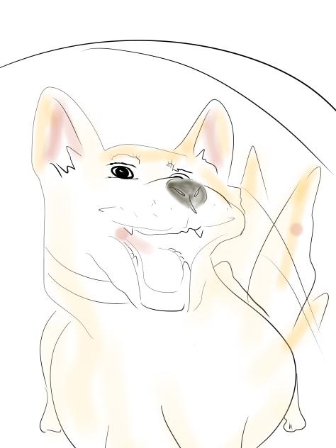 scribble thd dog