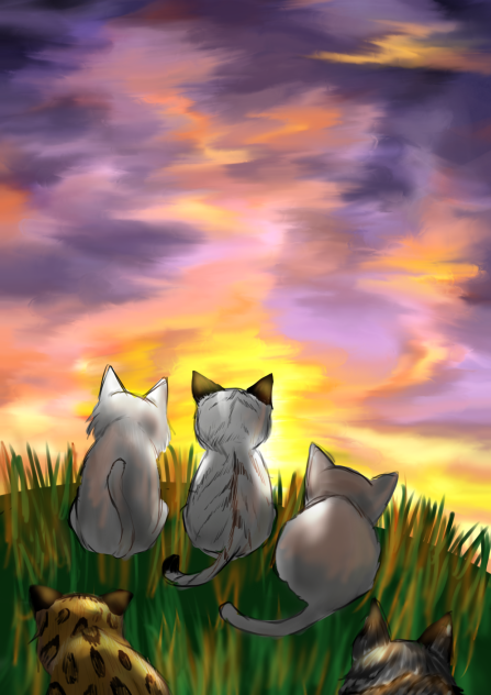 tramonto