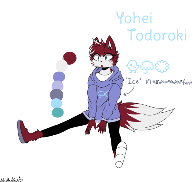 Yohei Todoroki