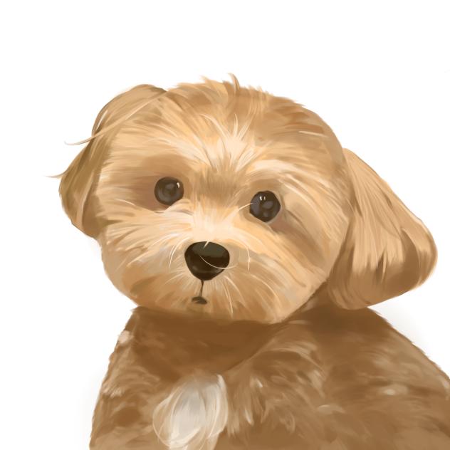 愛犬