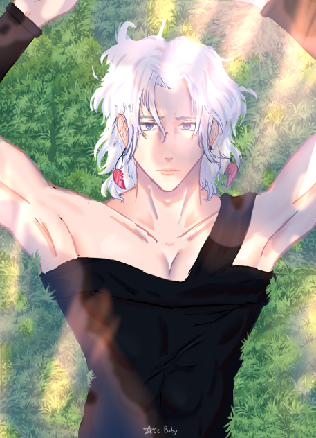 POLNAREFF, but with his hair down!