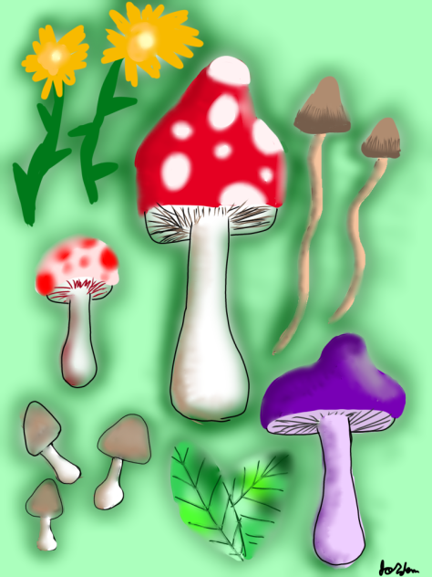 MOOSHROOMS!!