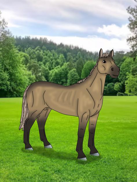 my horse toy as art #2  .