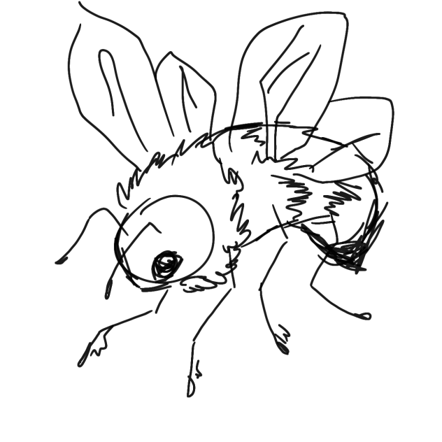 quick sketch