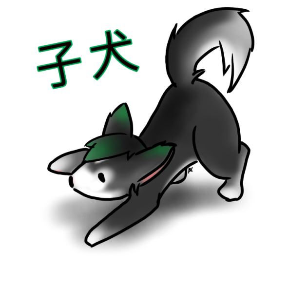 子犬