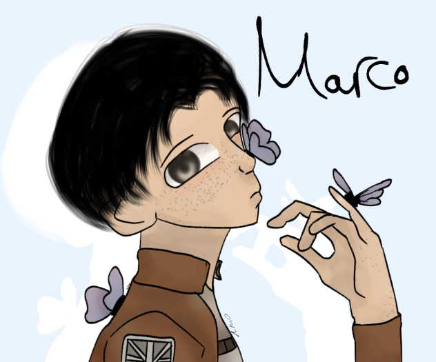 Marco! (Attack on titan)