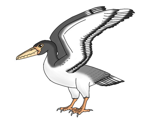 Pelagornis mauretanicus
