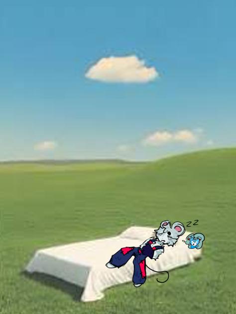 honk shoo mimimimi