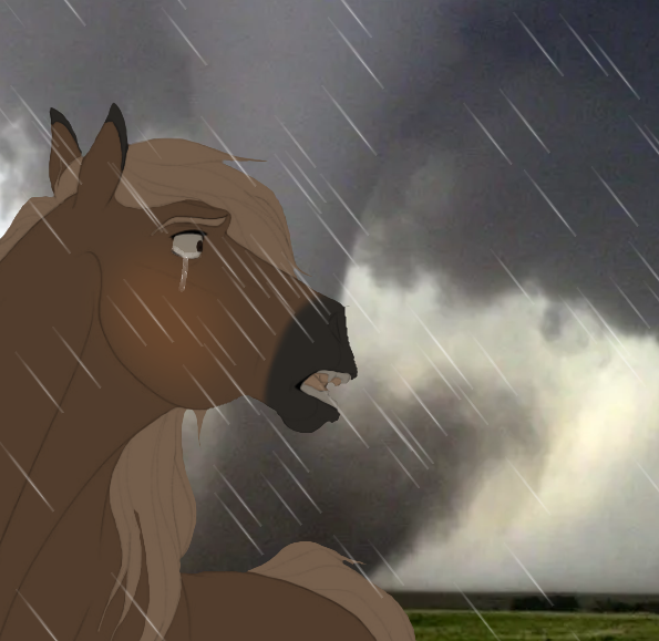 `` NO! ``