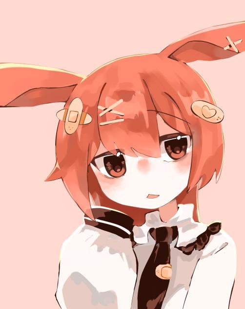 一応うさぎ