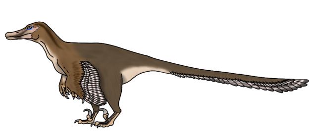 Buitreraptor gonzalezorum2
