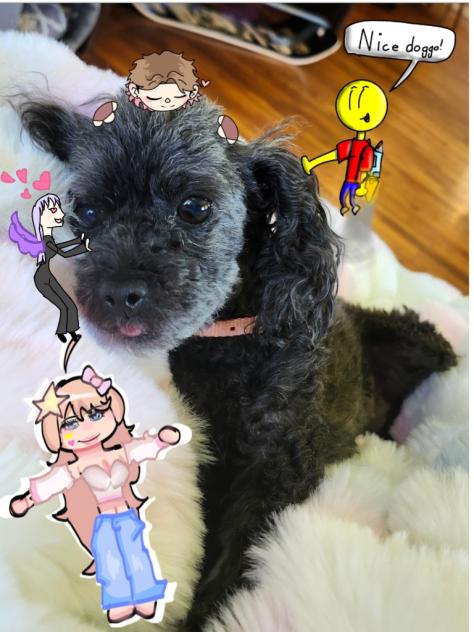 doggy clab