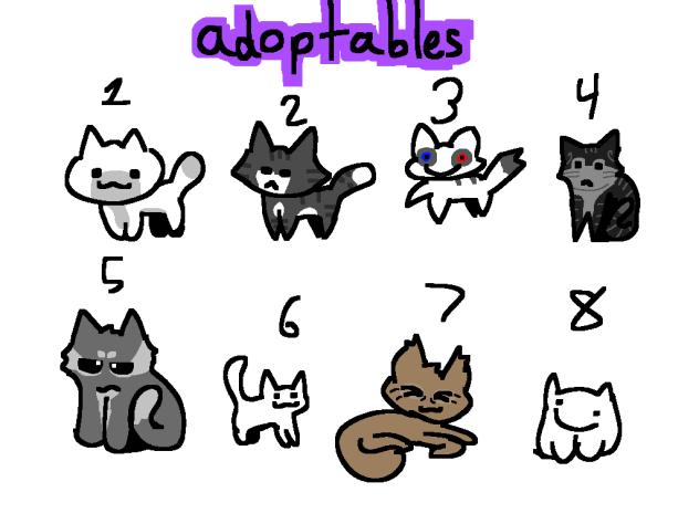 cat adoption