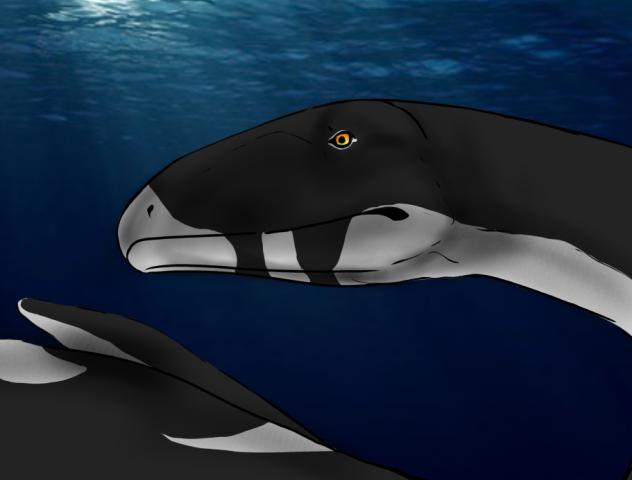 Elasmosaurus