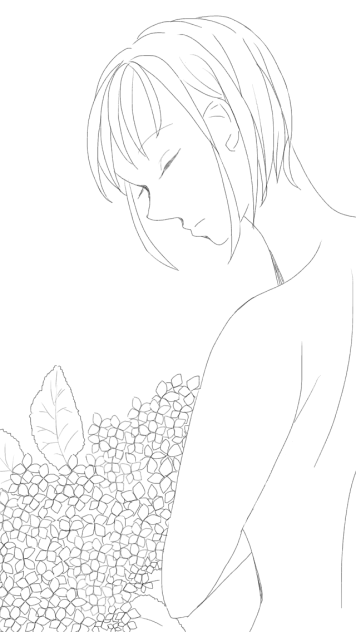 紫陽花 線画
