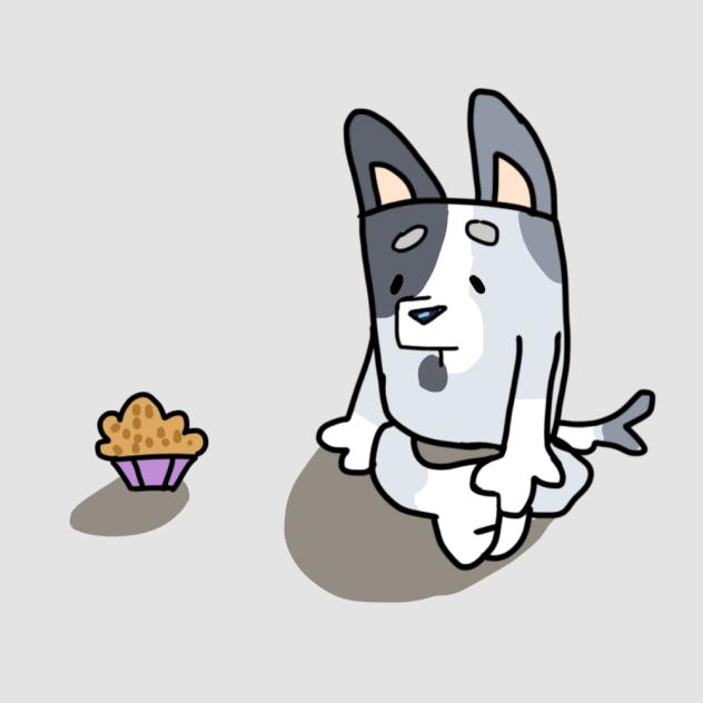 🧁MUFFIN🩶