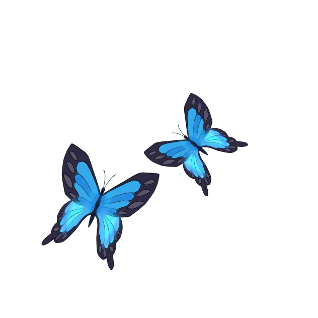 Butterflys