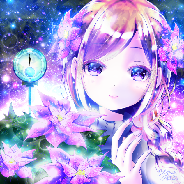 紫ポインセチア