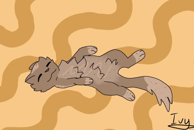 Cinnamon Roll