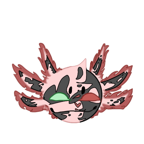 an axolotl