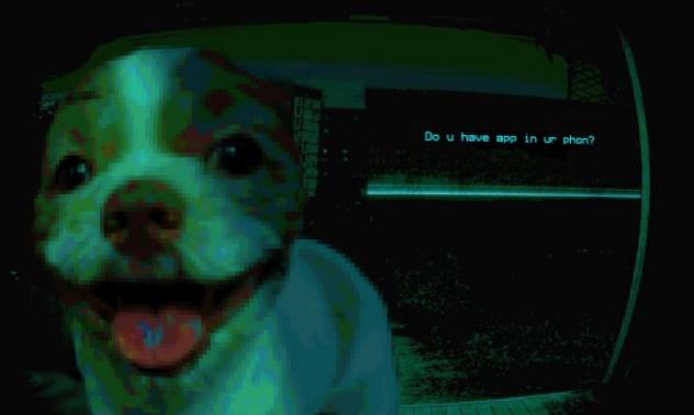 I put my dawg in NINAH